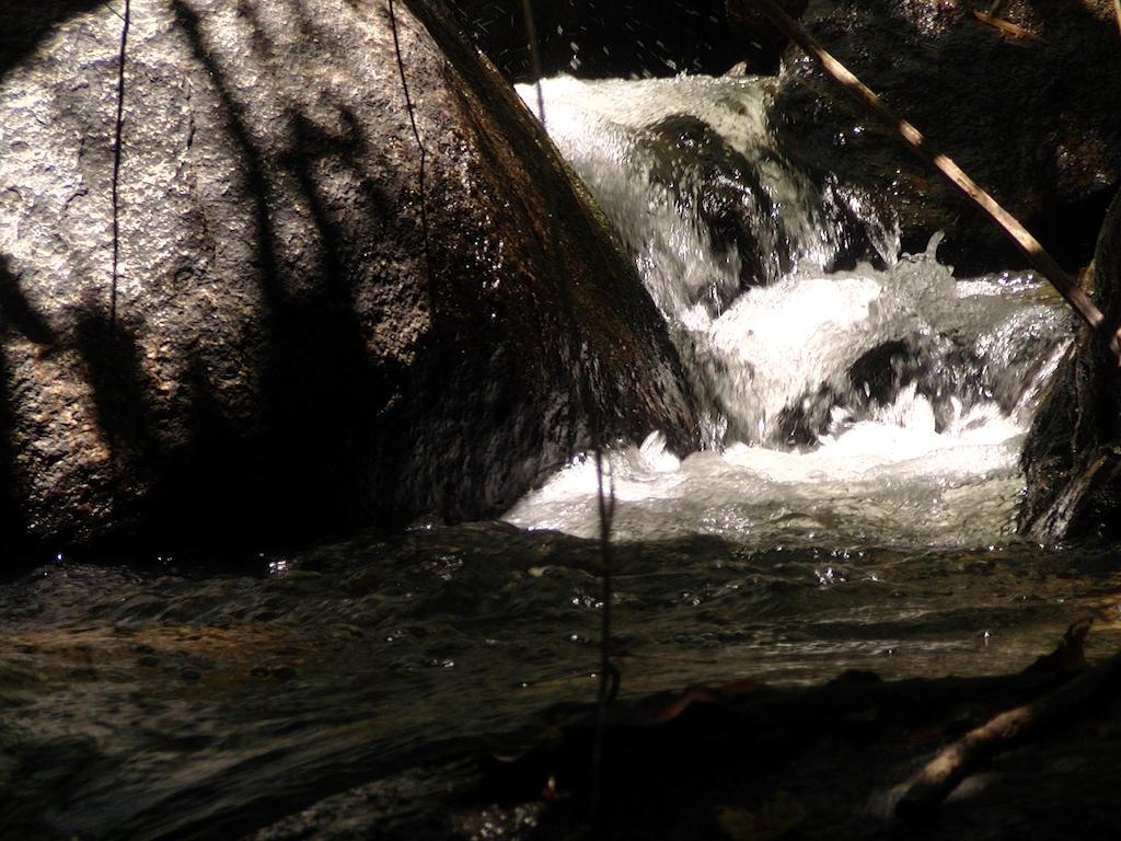 Ytororo O Som Das Aguas Araquari Dış mekan fotoğraf