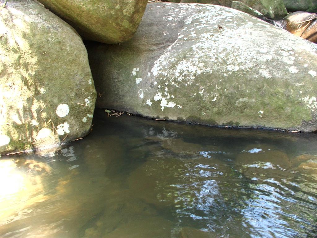 Ytororo O Som Das Aguas Araquari Dış mekan fotoğraf