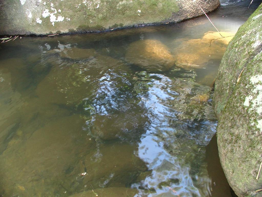 Ytororo O Som Das Aguas Araquari Dış mekan fotoğraf