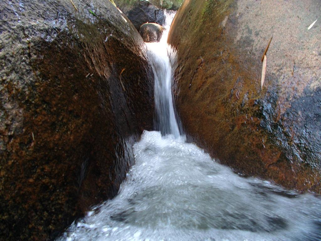 Ytororo O Som Das Aguas Araquari Dış mekan fotoğraf